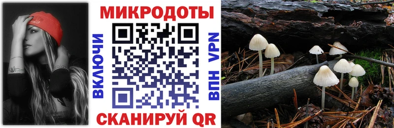 Купить  Сокол  Псилоцибиновые грибы Magic Shrooms 