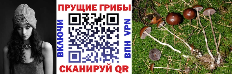 Галлюциногенные грибы ЛСД Сокол